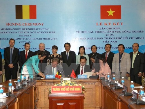 Экономическая делегация региона Фландерс-Брюссел изучает возможность инвестирования во Вьетнам - ảnh 1